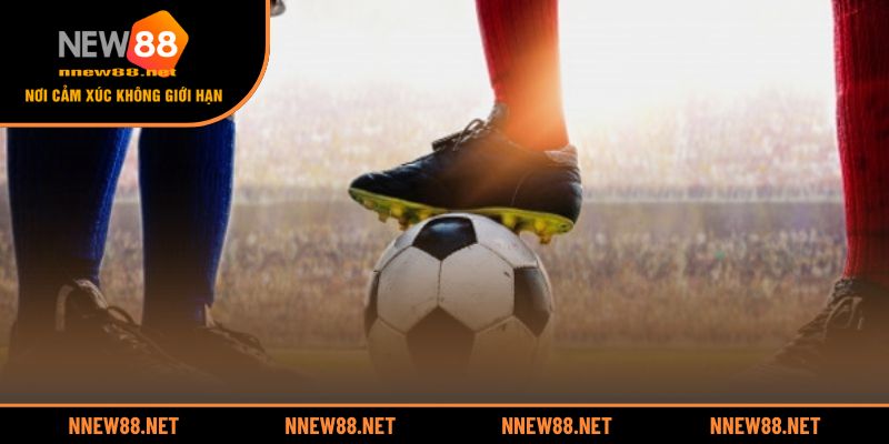 Bí kíp soi và đánh kèo rung chuẩn xác nhất