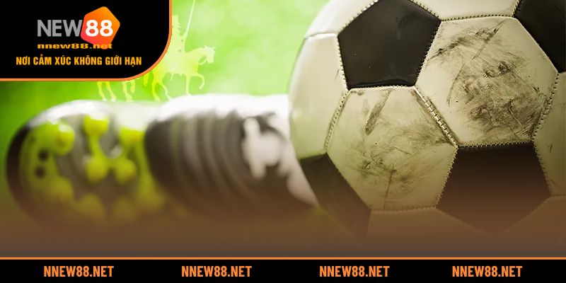 Bí quyết đọc kèo rung chuẩn xác cho người bắt đầu