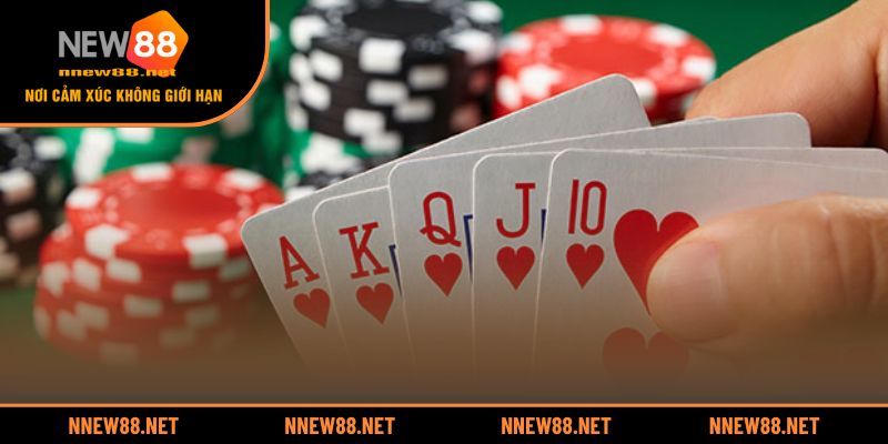 Bí quyết nắm vững cách chơi poker cho người nhập môn