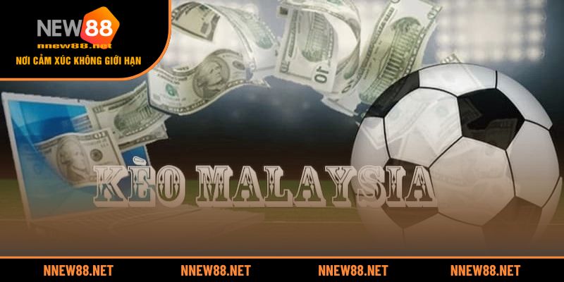 Trình bày quy tắc hiển thị và công thức tính tiền cược