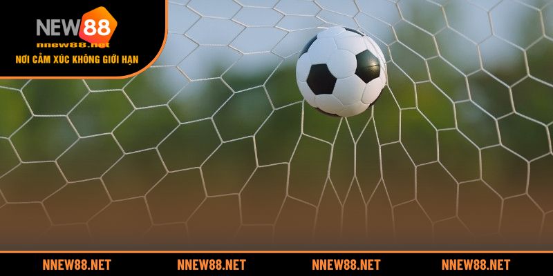 Hiểu rõ cấu trúc và phương pháp đọc kèo HongKong