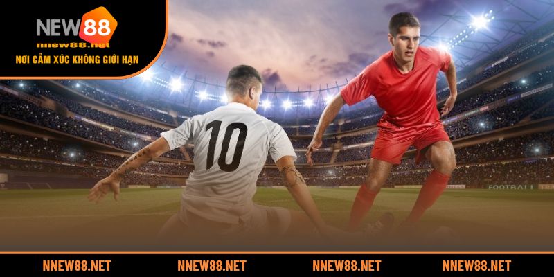 Kèo cơ hội kép là gì và được hiểu như thế nào