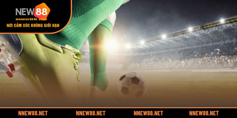 Kinh nghiệm phân tích kèo Handicap dễ thắng