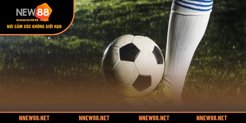 Làm thế nào để không bị cuốn vào kèo dụ của nhà cái