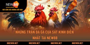 Bí mật khiến mini poker được nhiều người lựa chọn