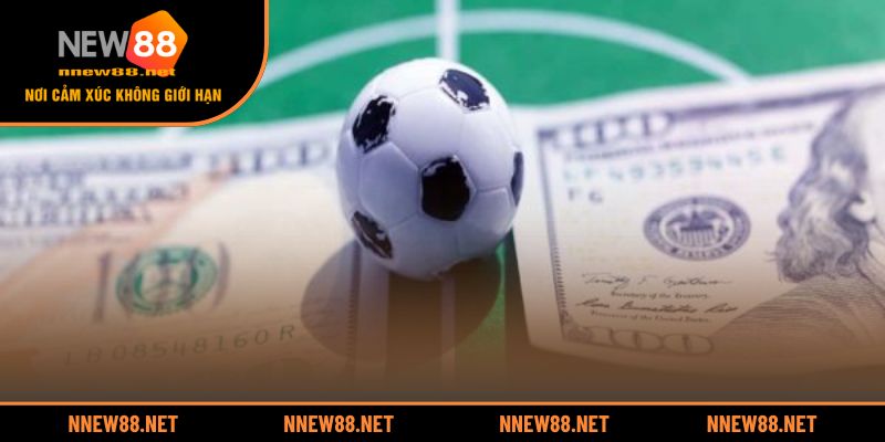 Những yếu tố giúp nhận ra một kèo thơm thật sự