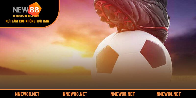 Quy tắc đặt cược và phương pháp tính tiền trong kèo chấp