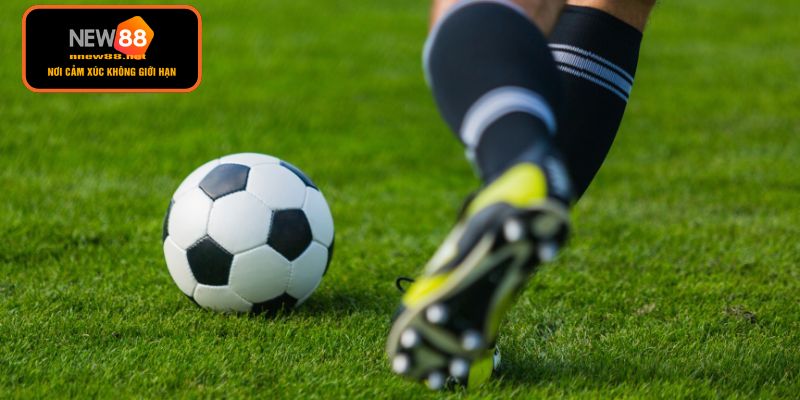 Các biến thể phổ biến của tỷ lệ châu Á