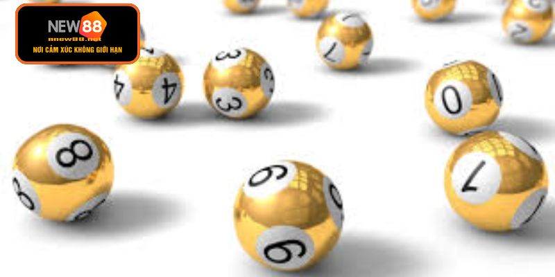 Tận dụng tối đa ưu điểm của lô khung mới