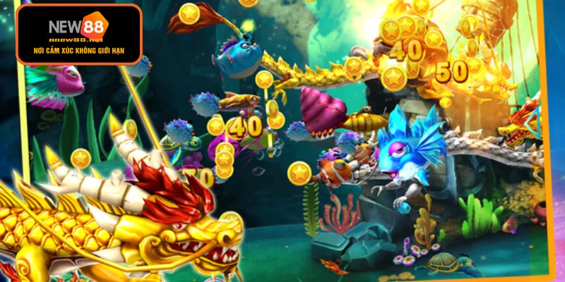 Thế giới đại dương đầy màu sắc của bắn cá rồng